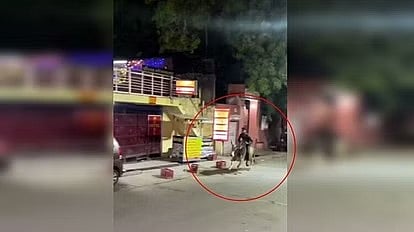 போலாம் ரைட்.. காளை மீது சவாரி.. இளைஞர் செய்த செயலால் அதிர்ந்து போன பொதுமக்கள்: எச்சரித்த போலிஸ்! (VIDEO)