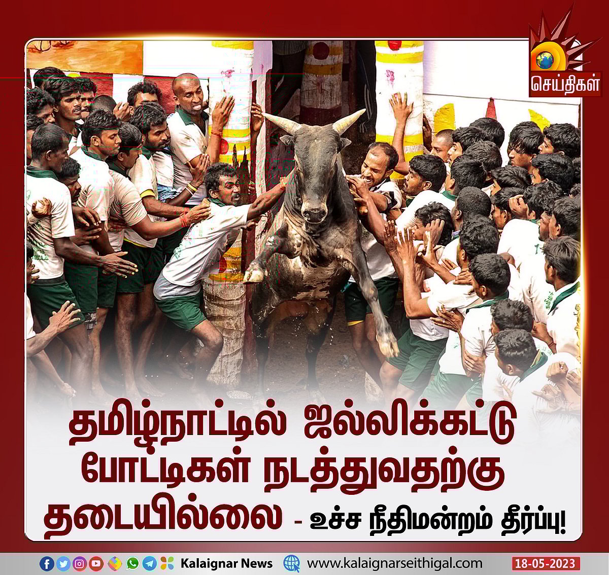ஜல்லிக்கட்டு கலாச்சாரத்தின் அடையாளம்.. தடை விதிக்க முடியாது: உச்சநீதிமன்றம் அதிரடி தீர்ப்பு!