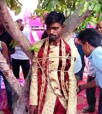 வரதட்சணை கேட்ட மாப்பிள்ளை.. மரத்தில் கட்டிவைத்து அடித்த பெண் வீட்டார்: சம்பவத்தின் பின்னணி என்ன?