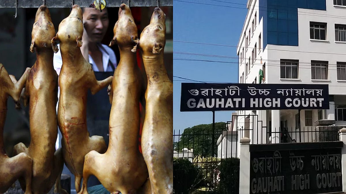 நாய்க்கறி : உணவு உரிமையில் அரசு தலையிடுவது ஏற்புடையது அல்ல -உயர்நீதிமன்றம்  அதிரடி உத்தரவு ! 