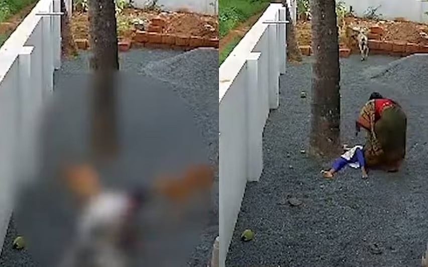 ஒரே பகுதியில் 2-வது முறை.. 9 வயது சிறுமியை கடித்து குதறிய தெருநாய்கள்.. பொதுமக்கள் ஆவேசம் !