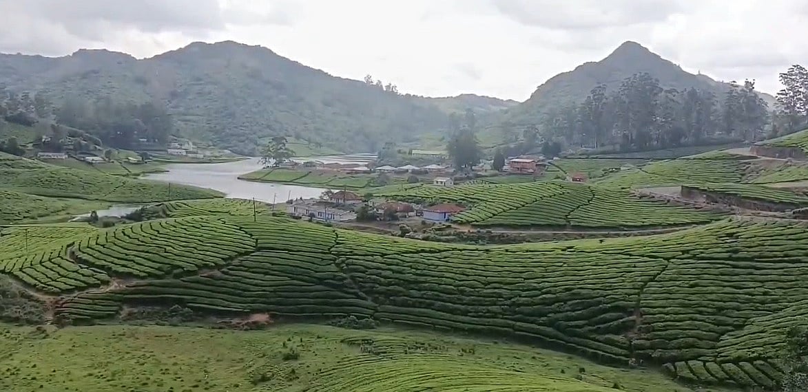 சுற்றுலா பயணிகளுக்கு நற்செய்தி : அரிசிக்கொம்பன் யானையால் விதிக்கப்பட்ட தடை நீக்கம்.. வனத்துறை அறிவிப்பு !