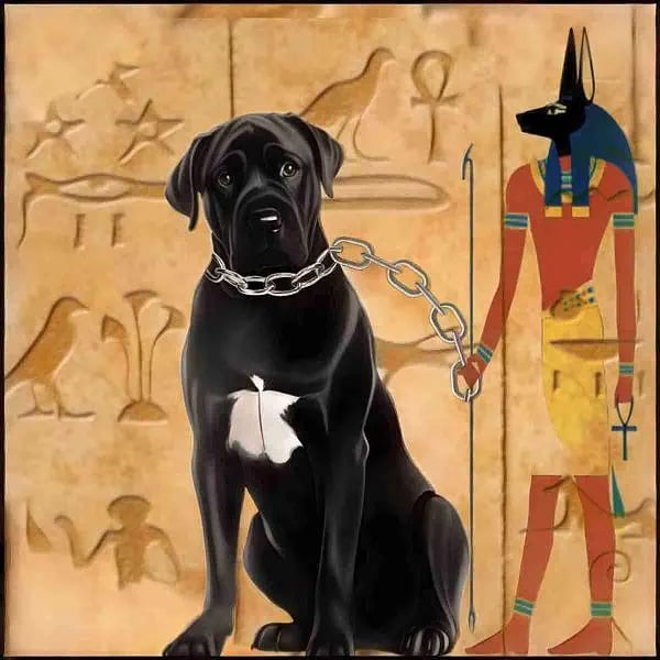 நாய் பிரியர்களுக்கு Shock : பிட்புட் To டாபர்மன் - 16 வகை நாய்களை வளர்க்க தடை.. எங்கு, எதனால் தெரியுமா ?