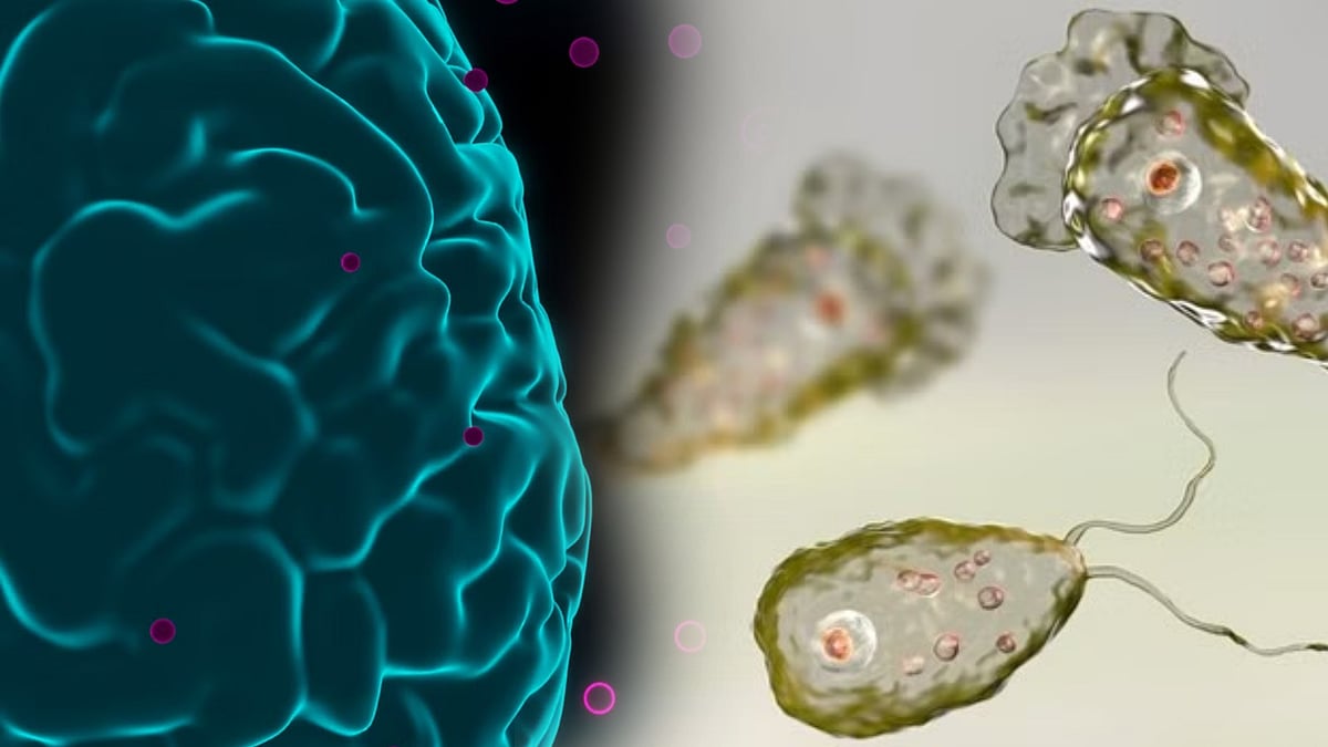 மூளையை தின்னும் அமீபா.. கேரளாவில் 2 சிறுவர்கள் பரிதாப பலி.. எச்சரிக்கை விடுக்கும் மருத்துவர்கள் !