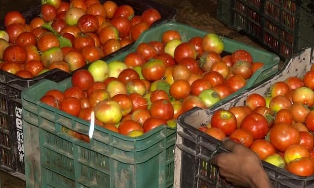 ”தக்காளி ஏற்றி வந்த மினி லாரி கடத்தல்”.. கர்நாடக மாநிலத்தில் தொடரும் அதிர்ச்சி சம்பவம்!