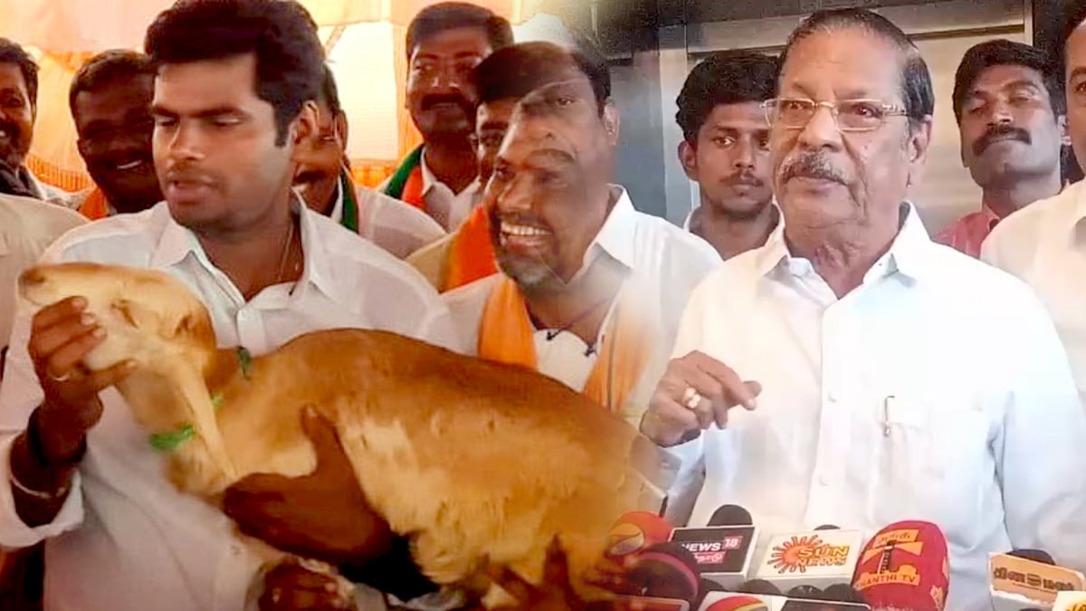 “அண்ணாமலை தான் ஆடு என ஒப்புக்கொள்கிறாரா ?” - திமுக அமைப்பு செயலாளர் ஆர்.எஸ்.பாரதி பதிலடி !