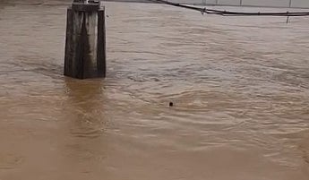 கரைபுரண்டோடும் ஆற்று வெள்ளத்தில் குதித்த இளைஞன்.. மீட்க வந்த தீணைப்பு வீரர்களுக்கு காத்திருந்த ஷாக்!