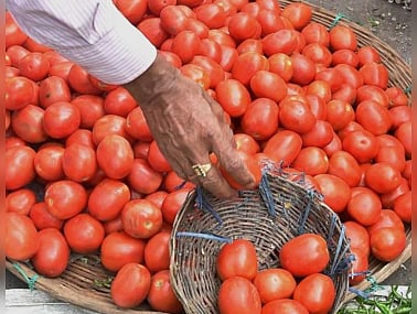 ” 5 நாட்கள் தக்காளி வாங்கவில்லை என்றால் தானாக விலை குறைந்து விடும்”.. எச்.ராஜா சொல்லும் பலே ஐடியா!