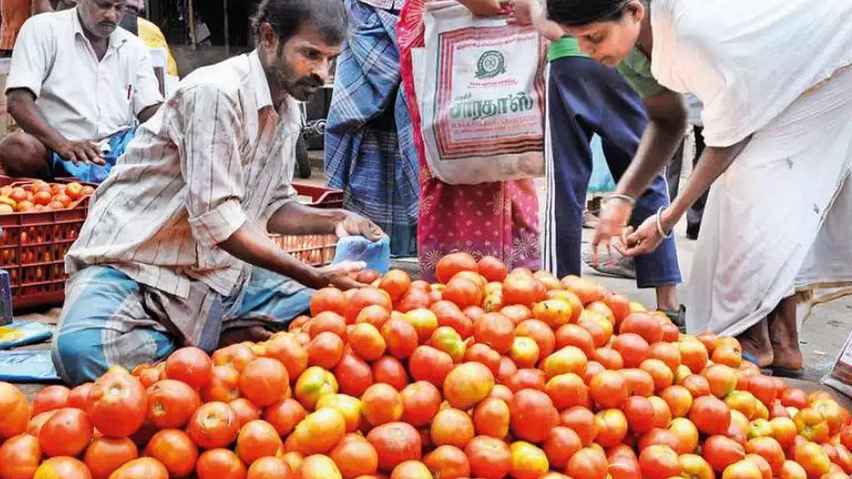 ‘இப்போ வாங்கடா பாக்கலாம்..’ - தக்காளிக்கு பவுன்சர்ஸ் நியமித்த வியாபாரி.. இறுதியில் நேர்ந்த கதி !