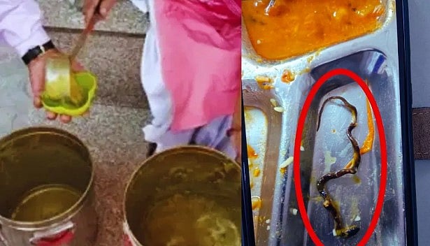 கேண்டீனில் வழங்கிய உணவில் செத்துப்போன  பாம்பு.. அதிர்ச்சி அடைந்த ஊழியர்: இணையத்தில் வைரலாகும் புகைப்படம்!