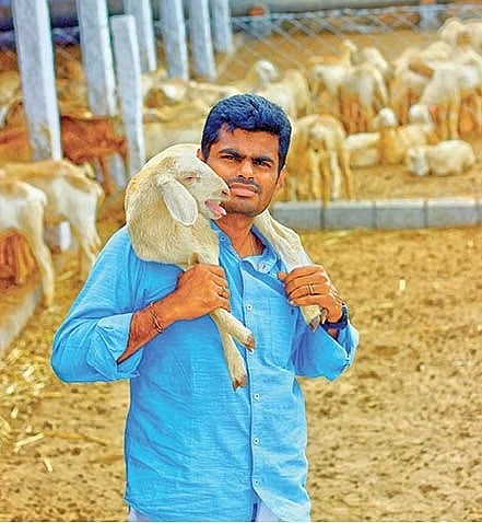 “அண்ணாமலை தான் ஆடு என ஒப்புக்கொள்கிறாரா ?” - திமுக அமைப்பு செயலாளர் ஆர்.எஸ்.பாரதி பதிலடி !