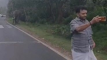 சாலையில் காட்டு யானையுடன் செல்ஃபி எடுத்த தொழிலதிபர்.. ரூ.20 ஆயிரம் அபராதம் விதித்து வனத்துறை அதிரடி!