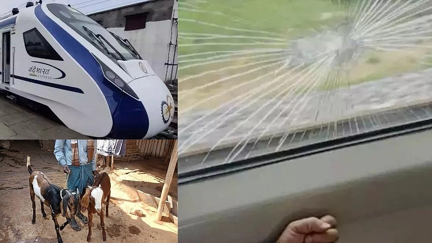 6 ஆடுகளை கொன்றதால் ஆத்திரம்.. பழிவாங்க வந்தே பாரத் ரயில் மீது கல்லெறிந்த குடும்பம்!