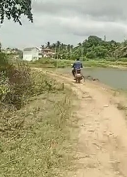 இளைஞரை தாக்கிய சிறுத்தை.. இறுதியில் சிறுத்தைக்கு நேர்ந்த கதி.. அதிர்ச்சியில் உறைந்த கிராமம் !