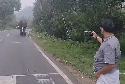 சாலையில் காட்டு யானையுடன் செல்ஃபி எடுத்த தொழிலதிபர்.. ரூ.20 ஆயிரம் அபராதம் விதித்து வனத்துறை அதிரடி!