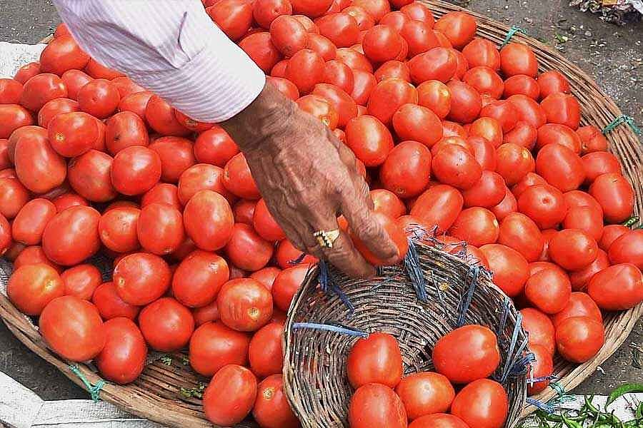 ஒரே மாதத்தில் தக்காளி விற்றே கோடீஸ்வரர் ஆன விவசாயி.. அதிர்ச்சியில் உறைந்த கிராம மக்கள் !