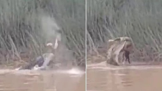 அதிர்ச்சி வீடியோ.. இளம் பெண்ணை கடித்து ஆற்றுக்கு இழுத்துச் சென்ற முதலை: உறைந்து நின்ற மக்கள்!