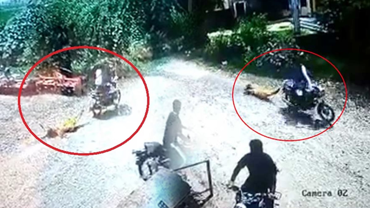 மகளை அடித்துக்கொலை செய்த தந்தை.. சடலத்தை பைக்கில் கட்டி சாலையில் இழுத்துச் சென்ற கொடூரம்.. காரணம் என்ன ?