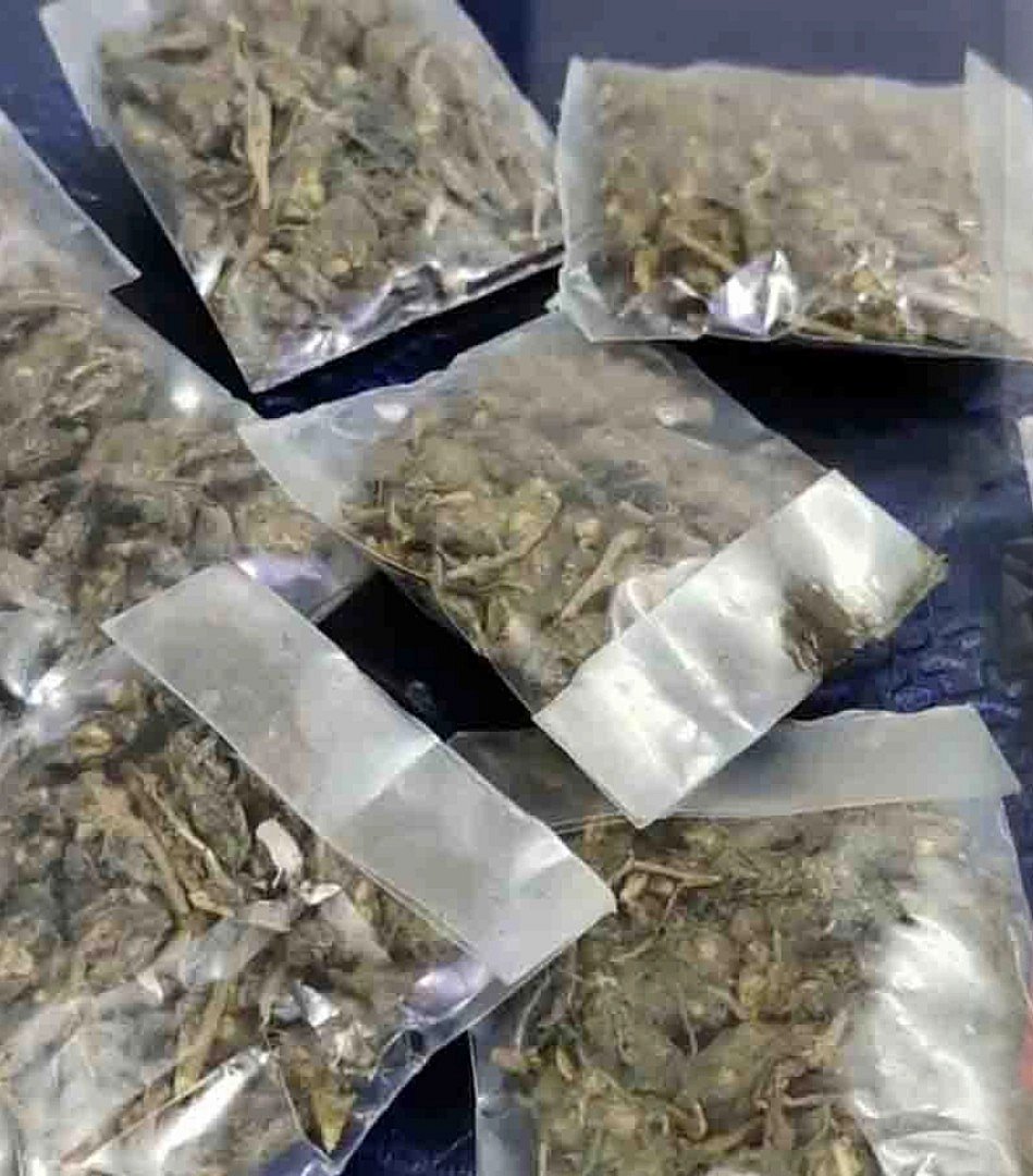 16 பேர்.. 2 கார்கள்.. ஆந்திராவில் 228 கிலோ கஞ்சா கடத்தல்: பாஜக, பாமக நிர்வாகிகள் கைது - காவல்துறை அதிரடி!