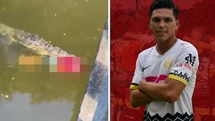 ஆசையாக ஆற்றில் குதித்த கால்பந்து வீரர்.. முதலையின் பிடியில் சிக்கி நேர்ந்த சோகம்.. - வீடியோ வைரல் !