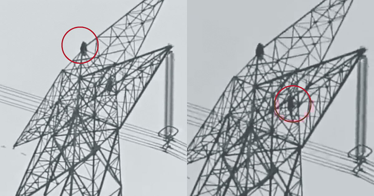 கோபித்து கொண்டு 150 அடி உயர மின் கோபுரத்தில் ஏறிய காதலி.. சமாதானம் செய்ய பின்னாலே சென்ற காதலன்.. நடந்தது?