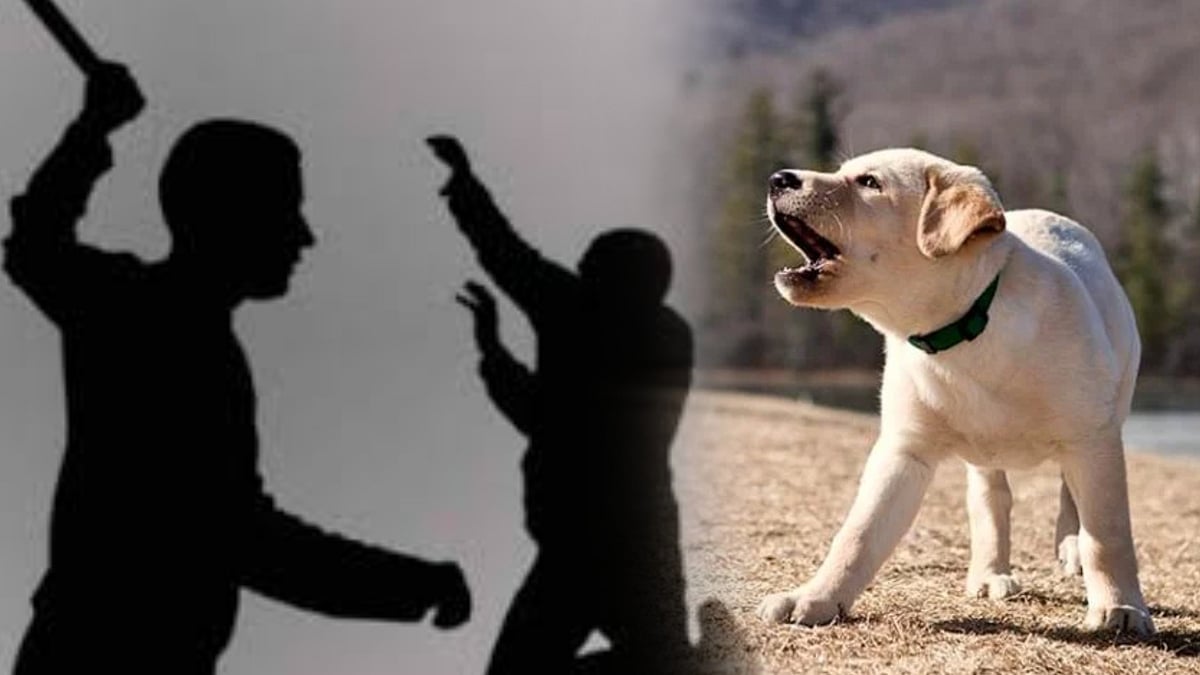 நாய் குரைத்ததால் ஆத்திரம்.. சொந்த மனைவி, குழந்தைகளை குத்தி கொலை செய்த கொடூரன்.. நடந்தது என்ன ?