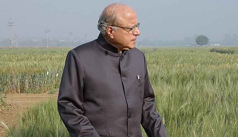 இந்தியாவின் சிறந்த வேளாண் விஞ்ஞானி.. பசுமை புரட்சியின் தந்தை : யார் இந்த எம்.எஸ்.சுவாமிநாதன்?