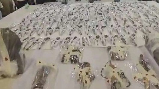 பாஜக ஆட்சியில் தலைதூக்கும் துப்பாக்கி கலாசாரம்.. ம.பியில் சட்ட விரோதமாக நடந்து வந்த ஆயுதக் கிடங்கு!