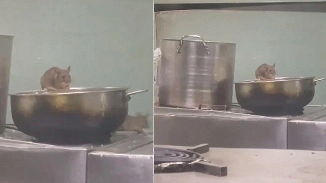 பயணிகளின் உணவை ருசி பார்த்த எலிகள் : இணையத்தில் வைரலாகும் அதிர்ச்சி வீடியோ - ரயில்வே துறையின் அலட்சியம்!