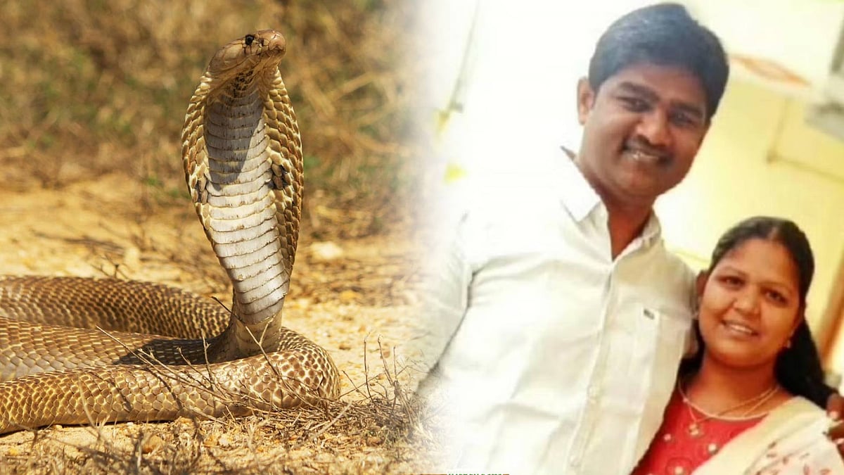 பாம்பை கடிக்க வைத்து கணவரை கொலை செய்த மனைவி : சிக்கிய வேலைக்காரன் - கொடூர கொலையில் பின்னணி என்ன ?