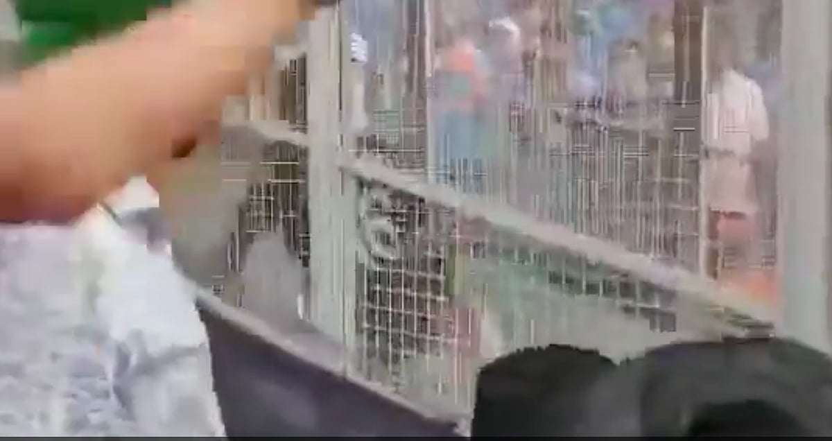 இதுதான் தமிழ்நாட்டு ரசிகர்களுக்கும் பிறருக்கும் உள்ள வித்தியாசம் - இணையத்தில் வைரலாகும் தோனியின் கருத்து!