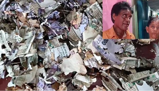 மகள் திருமணத்திற்காக இரும்பு பெட்டியில் சேர்த்து வைத்த ரூ.2 லட்சம் : கறையானால் நேர்ந்த சோகம்!