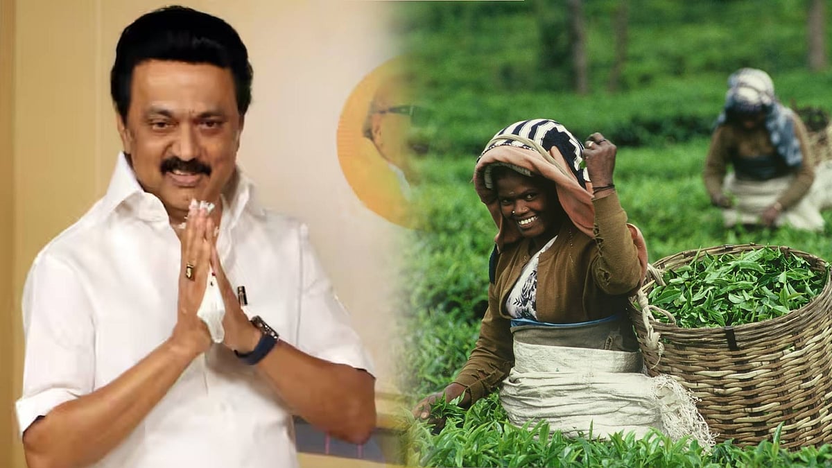 “மலையகத் தமிழர்கள் வாழ்வில் உயர வழிவகை செய்தோம் !” - முதலமைச்சர் மு.க.ஸ்டாலின் பெருமிதம் !