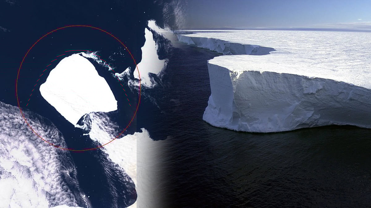 டெல்லியை விட பரப்பில் இரண்டு மடங்கு பெரியது: 37 ஆண்டுகளுக்குப் பிறகு நகரும் உலகின் மிகப்பெரும் பனிப்பாறை!