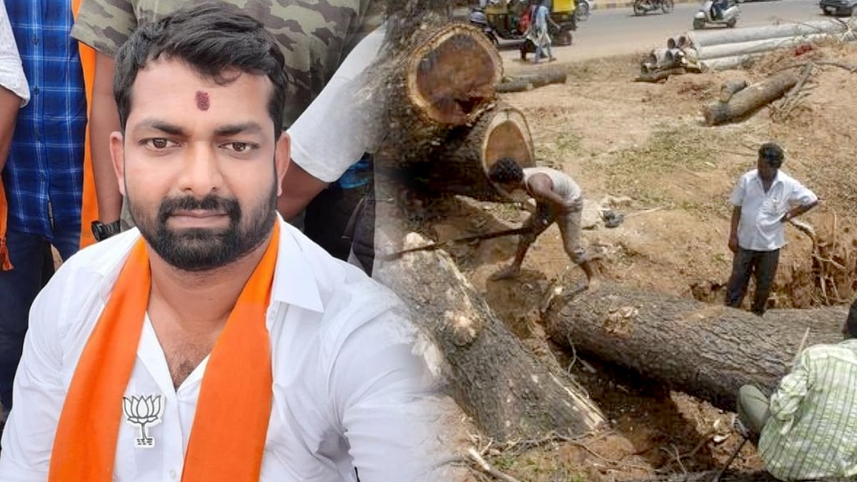 கோடி மதிப்பிலான 126 மரங்கள் கடத்தப்பட்ட வழக்கு : பாஜக எம்.பியின் சகோதரரை அதிரடியாக கைது செய்த போலிஸ் !