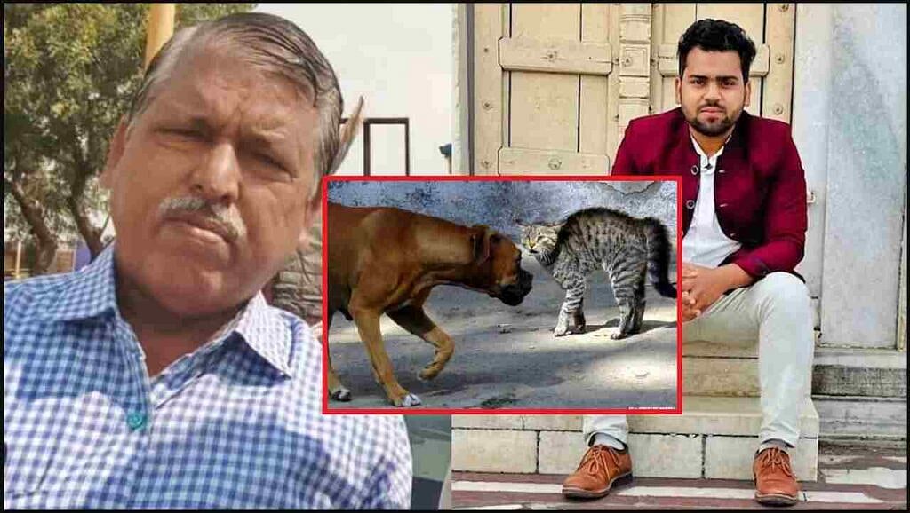 பூனை பிரியர்களே எச்சரிக்கை... ஆசையாக வளர்த்த பூனையால் பறிபோன உயிர்கள்... கதறும் குடும்பம் - நடந்தது என்ன?