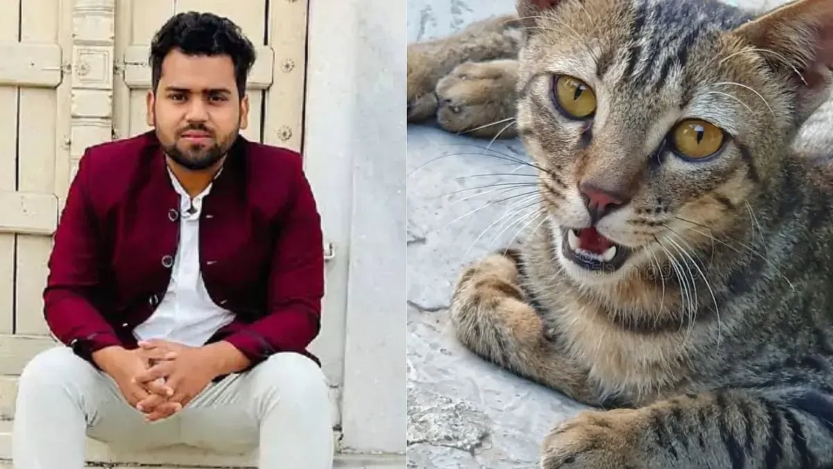 பூனை பிரியர்களே எச்சரிக்கை... ஆசையாக வளர்த்த பூனையால் பறிபோன உயிர்கள்... கதறும் குடும்பம் - நடந்தது என்ன?