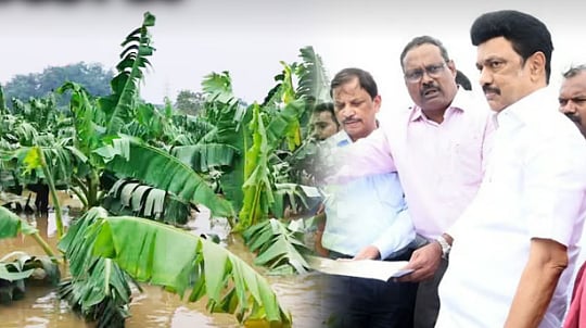 வெள்ள பாதிப்பு - ரூ.1000 கோடிக்கு நிவாரண தொகுப்பு:  12 அறிவிப்புகளை வெளியிட்ட முதலமைச்சர் மு.க.ஸ்டாலின்!