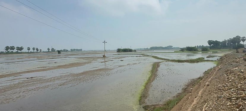 வெள்ள பாதிப்பு - ரூ.1000 கோடிக்கு நிவாரண தொகுப்பு:  12 அறிவிப்புகளை வெளியிட்ட முதலமைச்சர் மு.க.ஸ்டாலின்!