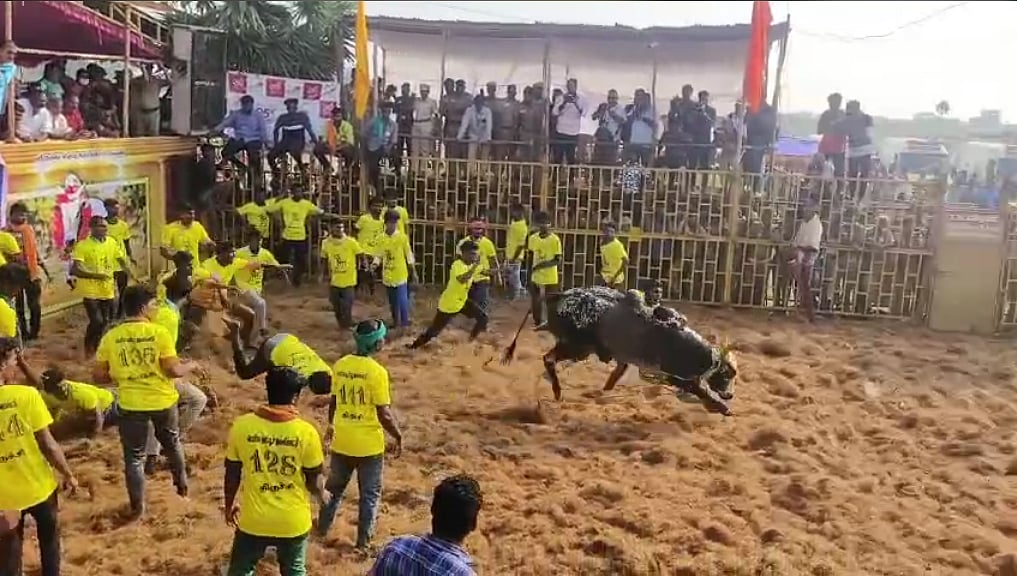 “மதுரையை தொடர்ந்து திருச்சி பெரியசூரியூரில் களைகட்டிய ஜல்லிக்கட்டு” : அசத்தல் பரிசை அறிவித்த விழாக்குழு!