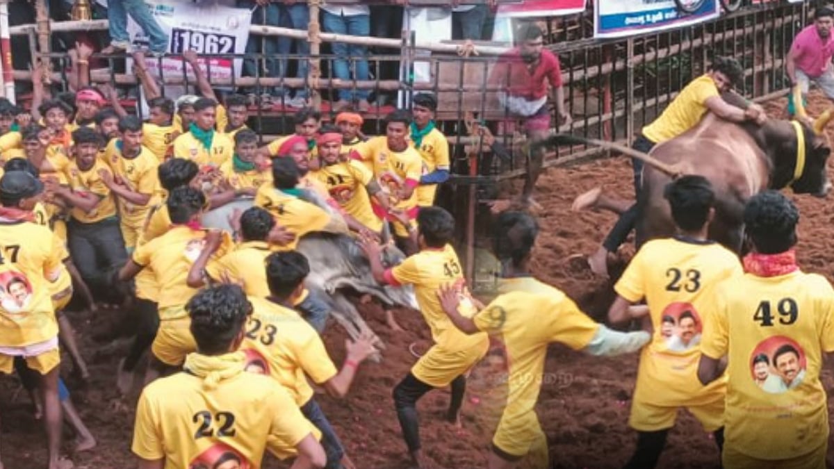 அவனியாபுரம் ஜல்லிக்கட்டு : 15 காளைகளை அடக்கி முதல் இடத்தில் அவனியாபுரம் கார்த்திக் !