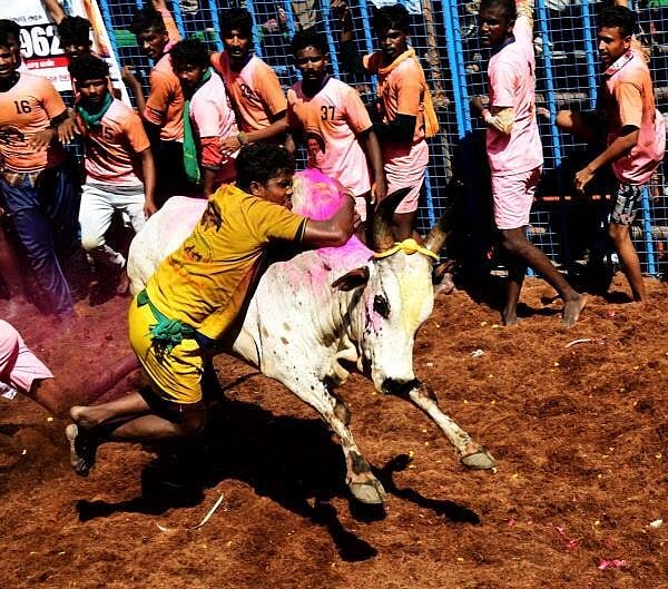 கோப்பு படம்