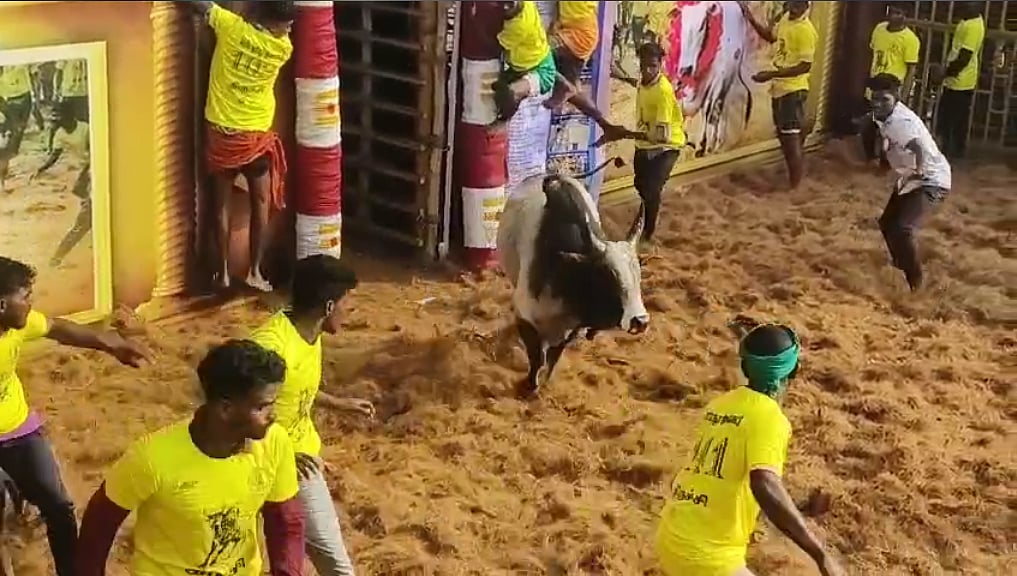 “மதுரையை தொடர்ந்து திருச்சி பெரியசூரியூரில் களைகட்டிய ஜல்லிக்கட்டு” : அசத்தல் பரிசை அறிவித்த விழாக்குழு!