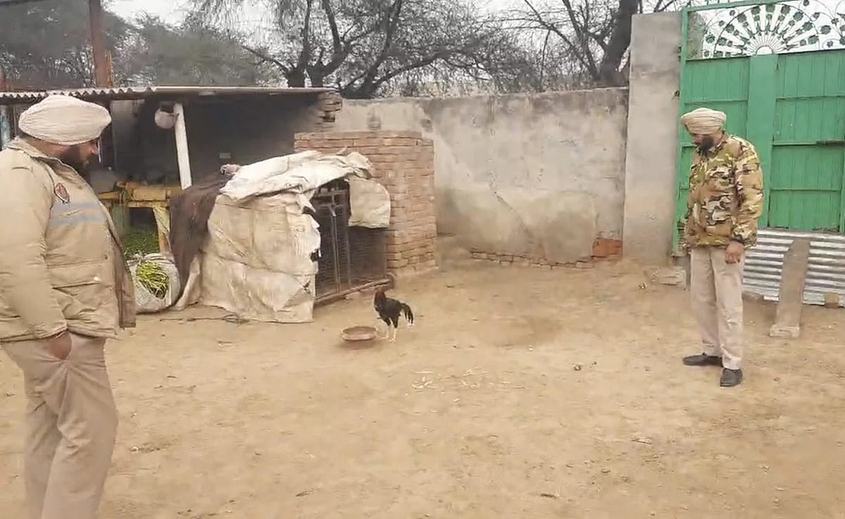 ஒரே ஒரு சேவலுக்கு போலிஸ் பாதுகாப்பு... பஞ்சாபில் விநோதம் - காரணம் என்ன ?