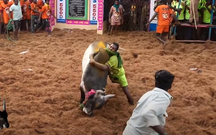 அலங்காநல்லூர் ஜல்லிக்கட்டு : கடைசி வரை இழுபறி... இறுதியாக 18 காளைகளை அடக்கி முதலிடம் பிடித்த கார்த்திக்! 