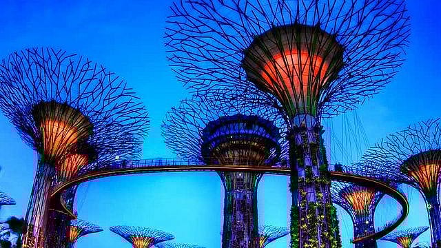 சென்னையில் கலைஞர் நூற்றாண்டு பூங்கா: கண்ணாடி மாளிகை - Super Tree டவர்!