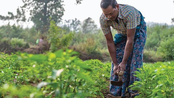 முதலமைச்சரின் மண்ணுயிர் காத்து மன்னுயிர் காப்போம் திட்டம் : வேளாண் பட்ஜெட்டில் புதிய அறிவிப்பு! 