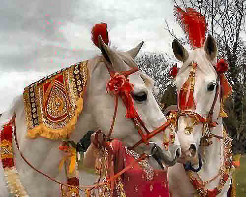 குதிரையில் ஊர்வலமாக வந்த மணமகன் : சாதி ரீதியாக விமர்சித்து மணமகனை அடித்த கும்பல் : குஜராத்தில் அதிர்ச்சி!