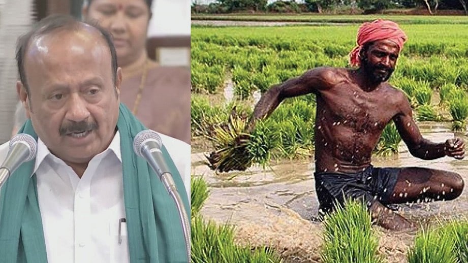 விவசாயிகளை மகிழ்வித்த வேளாண் பட்ஜெட்  :  20 முக்கிய அம்சங்கள் இதோ!