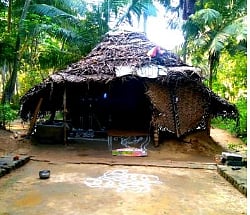 ’கருணை தெய்வம் எங்கள் முதலமைச்சர்’ : குடிசைவாழ் மாணவிக்கு தன்னம்பிக்கை தரும் புதுமைப் பெண் திட்டம்!